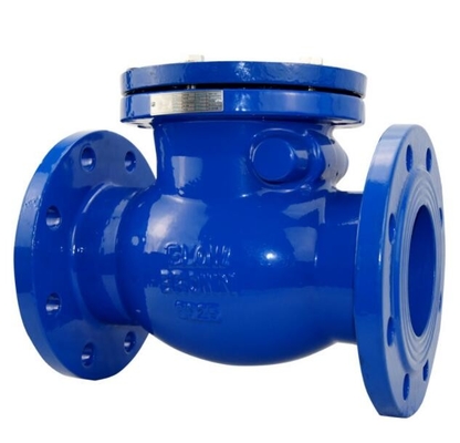 Dn200 Pn16 Astm A351 Cf8m 여성 Npt는 위크비 플랜지된 단부 체크 밸브에 실을 뀄습니다