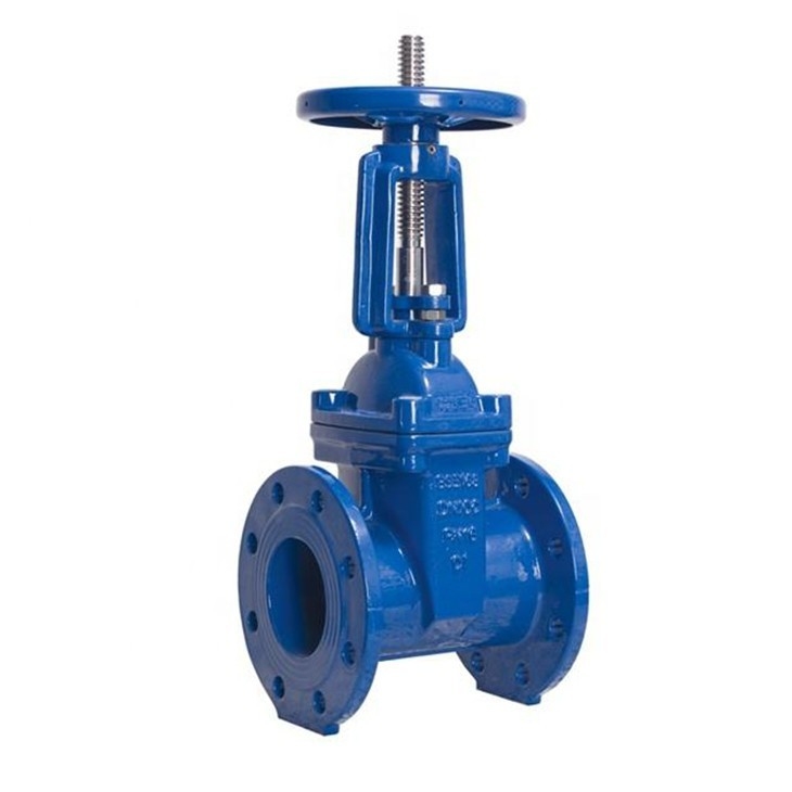 Asme B16.10 Dn50 비 상승하는 줄기 Asme B16.1 Cl 125 300psi 스테인레스 강 문짝 밸브